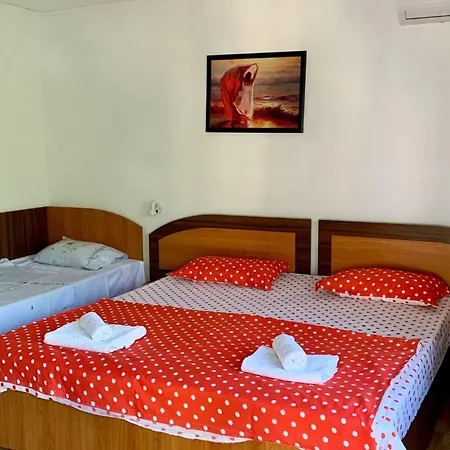 Casa Palaghia 2* Două Mai