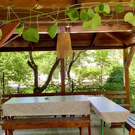 Гостевой дом Casa Palaghia 2*