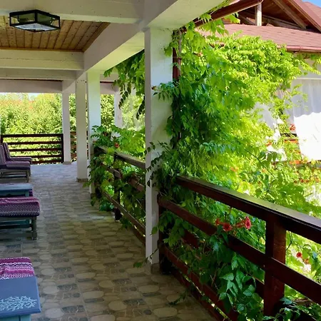 Casa Palaghia Două Mai