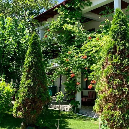 Casa Palaghia Gæstehus Două Mai