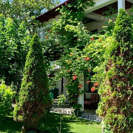 Casa Palaghia Guest house 2 Mai