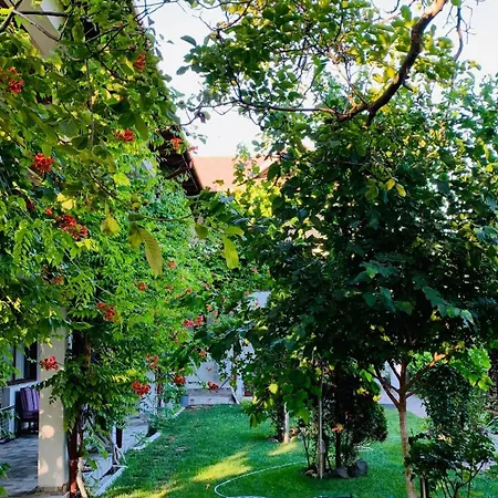 Guest house Casa Palaghia 2*