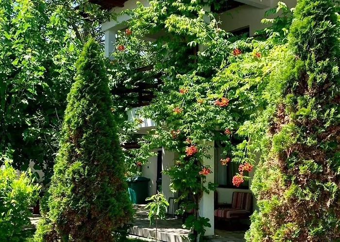 Casa Palaghia Guest house 2 Mai