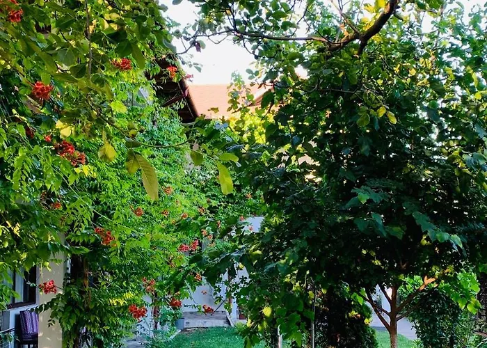 Guest house Casa Palaghia 2*